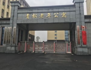 湖(hú)南青松老年公(gōng)寓弱電(diàn)工(gōng)程项目